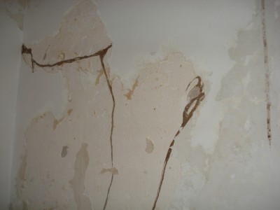 Traitement termites Charente-Maritime