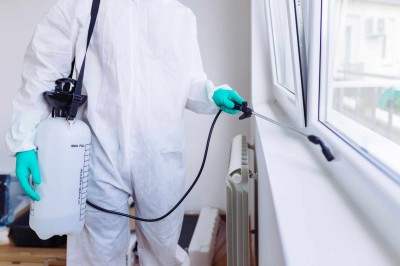 Traitement contre insectes