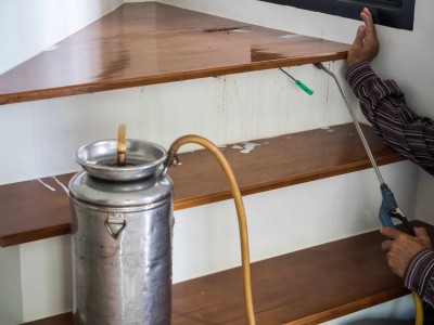 Traitement de bois et termites